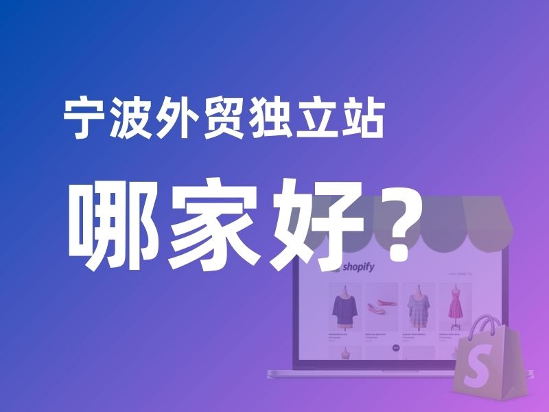 宁波外贸独立站哪家好？推荐支点网络科技