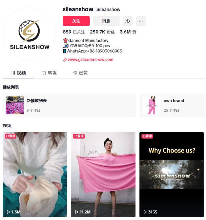 TikTok外贸推广全流程：从账号定位到询盘转化的系统方法论