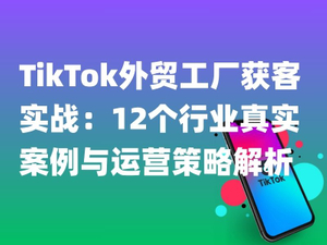 TikTok外贸工厂获客实战：12个行业真实案例与运营策略解析.jpg