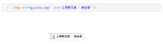 Alt标签显示图片内容