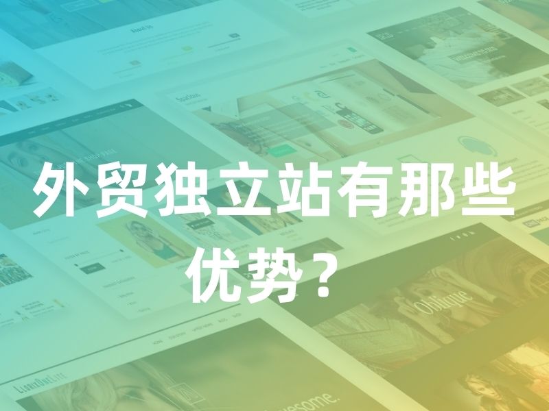 外贸独立站有那些优势？