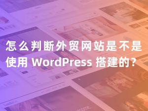 怎么判断外贸网站是不是使用 WordPress 搭建的？.jpg