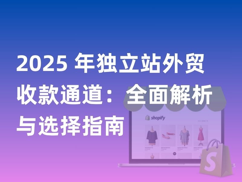 2025 年独立站外贸收款通道：全面解析与选择指南