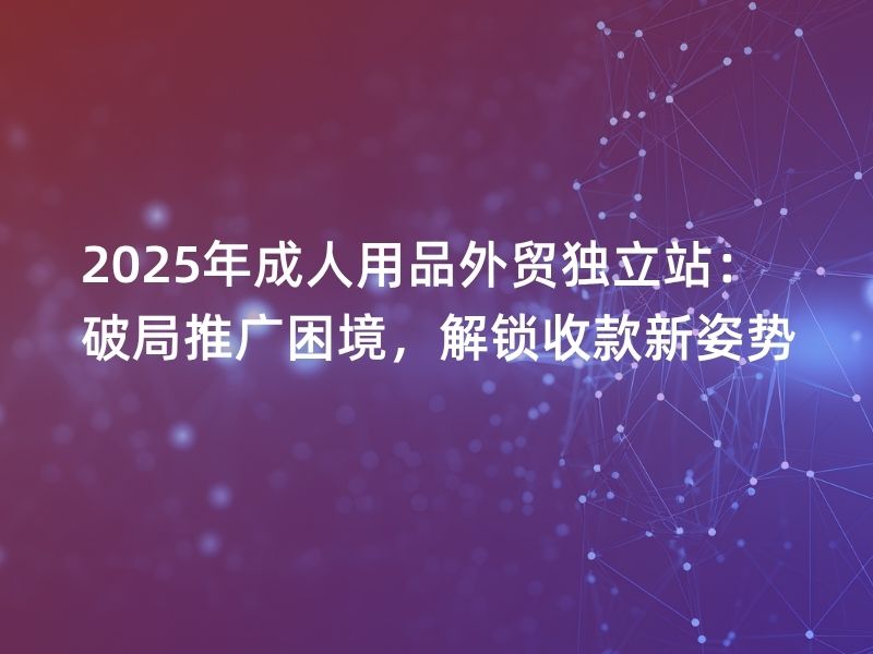2025年成人用品外贸独立站： 破局推广困境，解锁收款新姿势