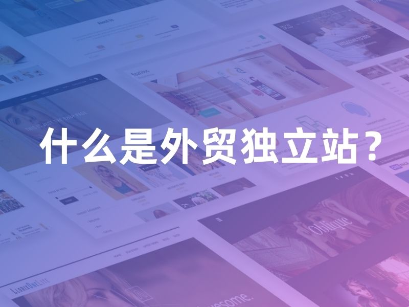 什么是外贸独立站？ (1)