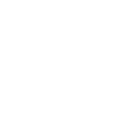 shopify (1)