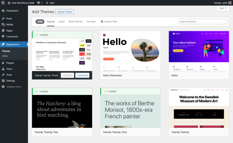 如何确保 WordPress 外贸网站的安全？