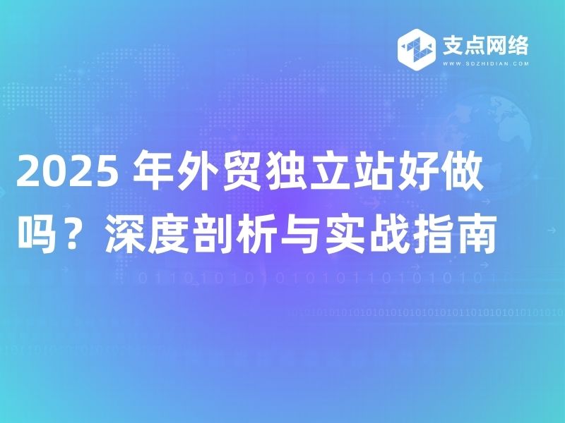 2025 年外贸独立站好做吗？深度剖析与实战指南