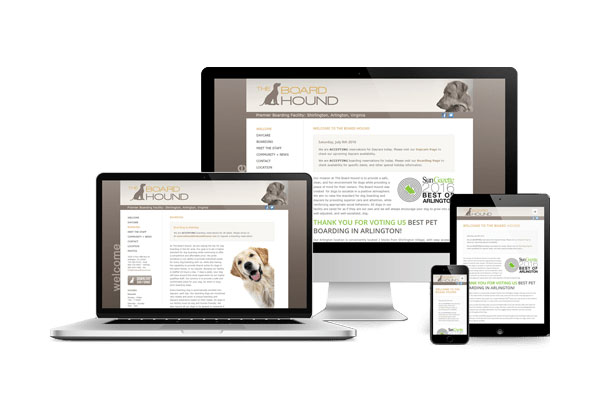 网站案例页面设计分析:从架构、色彩到特效的全面考量