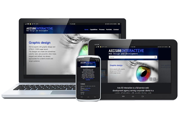 2024年企业为什么建设网站?作用是什么?