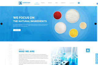 济南外贸公司网站建设-化工网站制作案例 - 支点电商