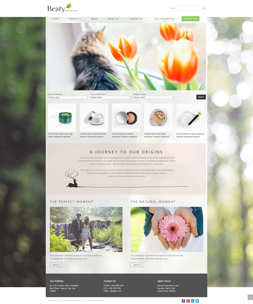 绿色服装鞋帽网站建设模板